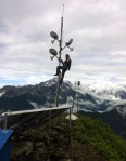 relay tower cambium
